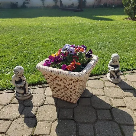 Casa Merys * Risnov