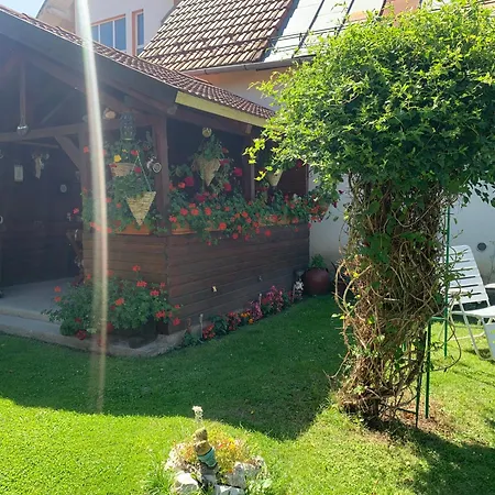 Casa Merys Holiday home Risnov