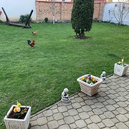 Casa Merys * Risnov